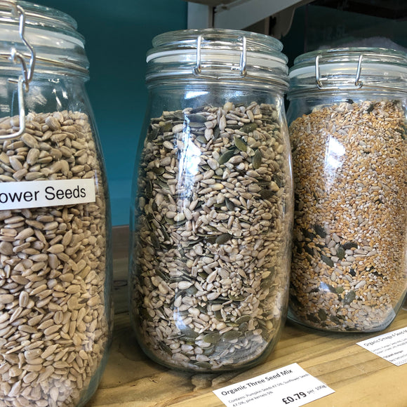 Seeds
