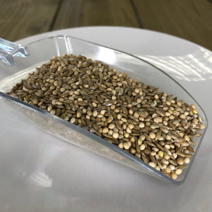 Budgie Seed (100g)