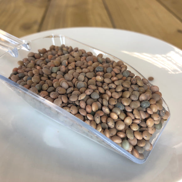 Brown Lentils (100g)